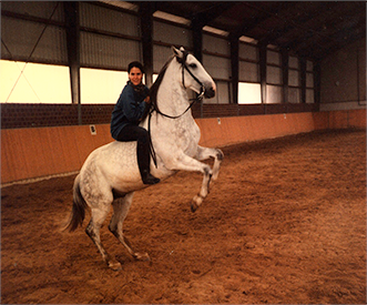 Ritterpferd von Burg Satzwey 1996