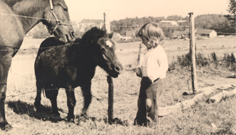 Waldbröl Spätsommer 1971