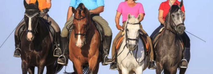 Reitergewicht – wieviel Zuladung ist noch pferdefreundlich?!